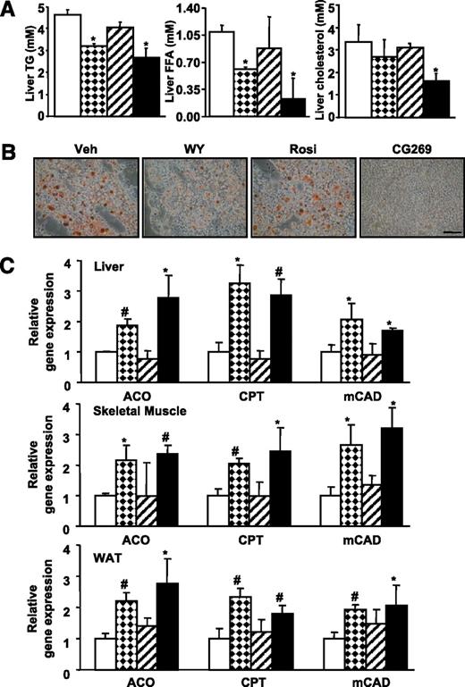 FIG. 6. CG301269 improves hepatic steatosis in db/db mice. A: Accumulated lipids in liver of PPAR agonists-treated db/db mice. Liver TG, FFA, and cholesterol levels were measured as described in research design and methods. Each bar represents mean ± SD. □, Veh; , WY; ▨, Rosi; ■, CG269. *P < 0.05 vs. Veh. B: Oil-red O staining of liver tissue from PPAR agonist-treated db/db mice. Scale bar = 50 μm. C: Relative gene expression of each gene in liver, skeletal muscle, and white adipose tissue (WAT) from db/db mice was determined by use of qRT-PCR and normalized by glyceraldehyde-3-phosphate dehydrogenase. Each bar represents mean ± SD. □, Veh; , WY; ▨, Rosi; ■, CG269. *P < 0.05 vs. Veh; #P < 0.01 vs. Veh. (A high-quality digital representation of this figure is available in the online issue.)