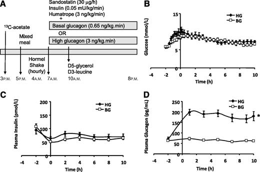 FIG. 1. Study protocol (A) and plasma concentrations of glucose (B), insulin (C), and glucagon (D) over the time course of the study. A constant infusion of sodium 1-13C-acetate was started at 3 p.m. on the day before the kinetics study. A mixed meal was provided that day at 5 p.m., after which the subject fasted. At 4 a.m. the next day subjects started to ingest identical hourly, then half hourly, volumes of a liquid high fat nutritional supplement to maintain a constant fed state. At 7 a.m., i.e., 3 h after starting to ingest the formula, a pancreatic clamp was started with infusion of somatostatin, insulin, growth hormone, and glucagon, the latter to achieve either BG (□) or HG (♦) plasma concentrations. At 10 a.m. (referred to as time 0 for the lipoprotein kinetic study), i.e., 3 h after starting the pancreatic clamp, a bolus of [1,1,2,3,3-2H5]-glycerol (d5-glycerol) was administered and a primed, constant infusion of l-[5,5,5-2H3]-leucine (d3-leucine) was started and continued for 10 h (A). Plasma glucose (B) and insulin (C) concentrations were similar in BG and HG studies, whereas glucagon (D) was approximately threefold higher in HG vs. BG. *P < 0.0001 HG vs. BG.