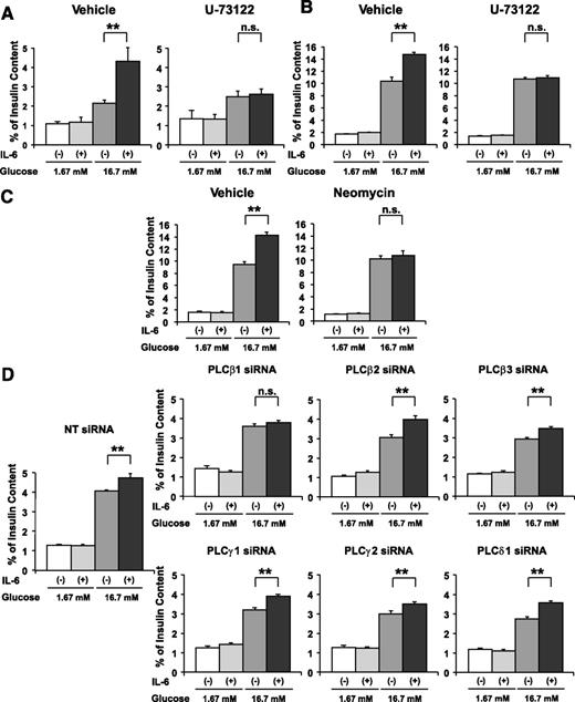 FIG. 5. IL-6 enhances GSIS through the PLC-dependent pathway. A: Pancreatic islets isolated from 8-week-old C57BL/6N mice were pretreated with vehicle or 2 μmol/L U-73122 with or without concomitant 1,200 pg/mL IL-6 for 24 h, followed by measurement of insulin secretion for 60 min in KRBB supplemented with either 1.67 or 16.7 mmol/L glucose (n = 5 per group). **P < 0.01 vs. insulin secretion from isolated islets without IL-6 pretreatment assessed by one-way ANOVA followed by Bonferroni’s post hoc test. B and C: MIN-6 cells were pretreated with vehicle or a pharmacological inhibitor (2 μmol/L U-73122 [B] 1.5 mmol/L neomycin [C]) with or without concomitant 1,200 pg/mL IL-6 for 24 h, followed by measurement of insulin secretion for 60 min in KRBB supplemented with either 1.67 or 16.7 mmol/L glucose (n = 6 per group). **P < 0.01 vs. insulin secretion from MIN-6 cells without IL-6 pretreatment assessed by one-way ANOVA followed by Bonferroni’s post hoc test. D: MIN-6 cells were transfected with NT siRNA or the specific siRNA for each PLC isoform for 24 h and then incubated with or without concomitant 1,200 pg/mL recombinant IL-6 for 24 h, followed by examination of insulin secretion for 60 min in KRBB supplemented with 16.7 mmol/L glucose (n = 5 per group). **P < 0.01 vs. insulin secretion from MIN-6 cells without IL-6 pretreatment assessed by one-way ANOVA followed by Bonferroni’s post hoc test. Data are presented as means ± SE.