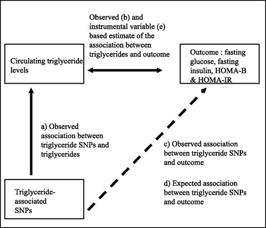 FIG. 1. Triangulation approach used to estimate the expected association for the SNP vs. type 2 diabetes or continuous trait (d) given the SNP versus triglyceride association (a) and the triglyceride versus type 2 diabetes or continuous trait associations (b).