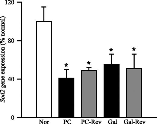 FIG. 1. Gene expression of sod2 in rat retina. RNA was isolated from the retina using TRIzol reagent, and 1 μg RNA was converted to single-stranded cDNA and quantified spectrophotometerically. Gene expression was measured in a 90-ng cDNA template using the ABI-7500 sequence detection system. Each sample was analyzed in triplicate, and the data were normalized to β-actin expression in each sample. Fold-change relative to age-matched normal rats was calculated using the ΔΔCt method. Results are from five or more rats in each group and are represented as mean ± SD. *P < 0.05 compared with normal. Nor, normal.