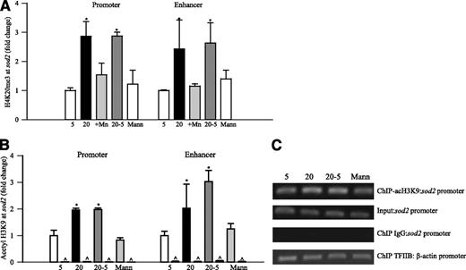FIG. 6. H4K20me3 and acetyl H3K9 at sod2, and evaluation of ChIP controls in retinal endothelial cells. A and B: H4K20me3 and acetyl H3K9 at the sod2 promoter and enhancer were measured by ChIP assay with SYBR green-based real-time q-PCR. Rabbit IgG served as a negative antibody control (indicated as ^). C: ChIP controls were verified by PCR. Crosslinked cells were immunoprecipitated with acetyl H3K9 or TFIIB antibody or normal rabbit IgG. The sod2 promoter occupied by acetyl H3K9 and the β-actin promoter occupied by TFIIB were amplified in purified ChIP-DNA. For the ChIP assay, the positive and negative controls were β-actin promoter occupied by TFIIB and the sod2 promoter occupied by IgG, respectively. The internal control included the input. 5 and 20, cells incubated in 5 mmol/L glucose or 20 mmol/L glucose; +Mn, cells transfected with sod2 plasmid, followed incubation in 20 mmol/L glucose for 4 days; and Mann, cells incubated in 20 mmol/L mannitol instead of 20 mmol/L glucose. *P < 0.05 compared with the values obtained from the cells incubated in 5 mmol/L glucose. ac, acetyl.