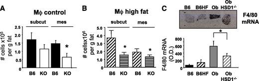 FIG. 4. Macrophage numbers in adipose tissues from C57BL/6J and 11β-HSD1−/− mice after 18-week HF diet. A: FACS quantification of total macrophages (Mϕ) content (Cd11b+) in subcutaneous and mesenteric fat, as a percentage of the total SVC number, in C57BL/6J (■) or 11β-HSD1−/− mice (□) on control diet. B: FACS quantification of macrophage number (CD11b+) as cells per gram of adipose tissue in subcutaneous and mesenteric fat after 18-week HF diet in C57BL/6J (▨) and 11β-HSD1−/− mice (▤); n = 6 with adipose pooled from two mice per condition. C: Quantitative results from in situ hybridization with an antisense riboprobe (top) hybridized against the macrophage marker F4/80 in mesenteric fat of C57BL/6J mice fed control (B6: ■) or HF (B6HF: ▨) diet and in genetically obese Lepob mice (Ob: ) and Lepob mice that are 11β-HSD1 deficient (Ob HSD1−/−: ); n = 6, effects of genotype are shown as significant: *P < 0.05. (A high-quality color representation of this figure is available in the online issue.)
