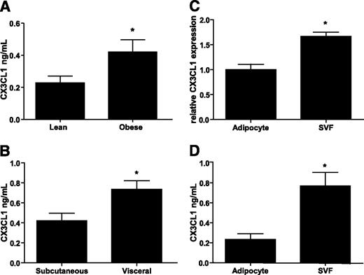 FIG. 2. Adipose CX3CL1 is increased in obesity and is present in both the primary adipocyte fraction and the SVF. A: Obese human subjects (n = 13) had significantly higher CX3CL1 protein in subcutaneous adipose tissue than lean human subjects (n = 11). B: In obese subjects (n = 13), there was increased CX3CL1 protein in visceral compared with subcutaneous adipose tissue. In lean human adipose (n = 8), both the adipocyte and the SVFs expressed CX3CL1 mRNA (C) and protein (D). Values shown are mean ± SD. *P < 0.05 between groups.
