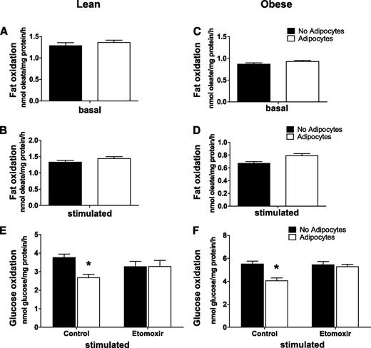 FIG. 3. Effects of adipocyte exposure on fatty acid metabolism in primary human myotubes. Primary human skeletal myotubes from lean (A, B, and E) and severely obese (C, D, and F) women were maintained 24 h in the absence or presence of human adipocytes under basal or stimulated (100 μmol/L IBMX) conditions. After 24 h of coculture, adipocytes were removed, and myotubes were washed and incubated 2 h with α-MEM containing 100 μmol/L [14C]oleate (A–D) or 5 mmol/L [14C]glucose (E and F). Label incorporation into CO2 was measured to assess oxidation rates of fatty acid and glucose, respectively. The addition of 100 μmol/L etomoxir during the glucose oxidation assay (E and F) was used to block oxidation of intracellular lipids. Results are expressed as mean ± SEM and representative of at least three experiments performed in triplicate. *Significant (P < 0.05) effect of adipocyte exposure analyzed by Student t test.