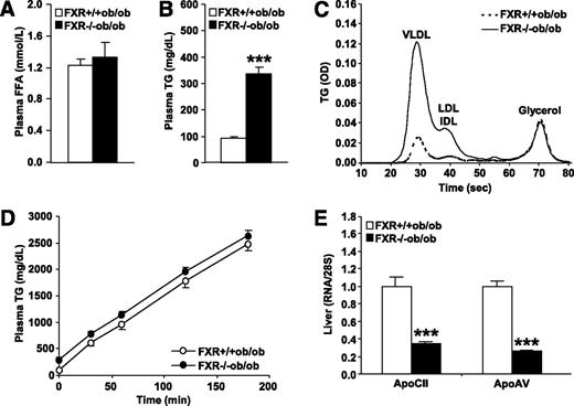 FIG. 4. FXR deficiency in ob/ob mice results in the accumulation of plasma triglycerides. A and B: Lipid parameters were measured in plasma of 12-week-old FXR+/+ob/ob (white bars or circles) and FXR−/−ob/ob mice (black bars or circles) (n = 9 to 10/group). C: Lipoprotein profiles were determined in plasma pools of 13-week-old mice. D: VLDL production was assessed in 13-week-old female mice (n = 8–10/group) by measuring plasma triglyceride concentrations subsequent to Tyloxapol injection. E: Gene expression was measured by QPCR in livers of 20-week-old mice (n = 9 to 10/group). Values are means ± SEM. Differences between genotypes were calculated by Mann-Whitney test (***P < 0.001). FFA, free fatty acid; OD, optical density; TG, triglyceride.