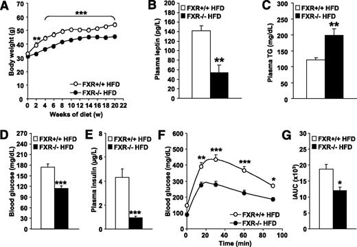 FIG. 5. FXR deficiency protects from diet-induced obesity and insulin resistance. FXR+/+ (white bars or circles) and FXR−/− mice (black bars or circles) (n = 7–11/group) were fed a HFD for 20 weeks. A: Body weight was monitored weekly (n = 7–11/group). Significance of the overall effect of genotype (P < 0.0001) and age (P < 0.0001) as well as their interaction (P < 0.0001) was calculated by two-way ANOVA. Plasma leptin (B), plasma triglyceride (TG) (C), blood glucose (D), and plasma insulin (E) were determined at the end of the feeding period (n = 4–9/group). Blood glucose excursion (F) and integrated AUC (G) after administration of an intraperitoneal glucose bolus (1 g/kg glucose) were measured at the end of the feeding period (n = 6–9/group). Significance of the overall effect of genotype (P < 0.0001) and time (P < 0.0001) was calculated by two-way ANOVA. Values are means ± SEM. Differences between genotypes over time were analyzed by two-way ANOVA and Bonferroni post hoc test; differences between genotypes were calculated by Mann-Whitney test (*P < 0.05, **P < 0.01, ***P < 0.001).