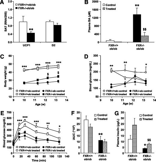 FIG. 7. Modulation of BA metabolism does not affect glucose homeostasis in FXR−/−ob/ob mice. FXR+/+ob/ob and FXR−/−ob/ob mice (10 weeks old) were administered 2% colesevelam mixed in the diet or plain diet for 3 weeks (n = 13/group) (FXR+/+ob/ob control, white bars or circles; FXR+/+ob/ob treated, horizontally hatched bars or white squares; FXR−/−ob/ob control, black bars or circles; FXR−/−ob/ob treated, diagonally hatched bars or black squares). A: TGR5 target gene expression was measured by QPCR in BAT of 20-week-old mice (n = 9 to 10/group). B: Plasma BA were measured after 9 days of treatment. C: Body weight was monitored weekly during the treatment period. Significance of the overall effect of treatment (P < 0.0001) and age (P = 0.0002) was calculated by two-way ANOVA. D: Fasting blood glucose was determined weekly during the treatment period. Blood glucose excursion (E) and integrated AUC (F) after administration of an intraperitoneal glucose bolus (1 g/kg glucose) were measured at the end of the treatment period. G: Plasma insulin was measured at the end of the treatment period. Values are means ± SEM. Differences between treatment groups over time were analyzed by two-way ANOVA and Bonferroni post hoc test; differences between genotypes or treatment groups were calculated by Mann-Whitney test. *Compares genotypes of the same treatment group; $compares treatment groups of the same genotype (* or $P < 0.05, ** or $$P < 0.01, ***P < 0.001).