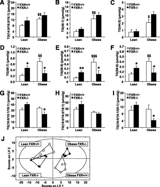FIG. 8. FXR deficiency differentially affects the abundance of long-chain, unsaturated triglyceride (TG) species in adipose tissue of lean and obese mice. Lipidomic analysis was performed in white adipose tissue of 6-week-old FXR+/+ob/ob, FXR−/−ob/ob mice, as well as lean FXR+/+ and FXR−/− littermates (lean FXR+/+, white bars or squares; lean FXR−/−, black bars or squares; obese FXR+/+, white bars or circles; obese FXR−/−, black bars or circles). Representative data for A–C: Medium-chain triglycerides with a high saturation level. D–F: Long-chain, highly unsaturated triglycerides. G–I: Long-chain triglycerides containing few double-bounds. J: PLS/DA of all measured lipid species. Values are means ± SEM. Differences between genotypes were calculated by one-way ANOVA and Student t test. *Compares the effect of leptin-deficiency; $compares the effect of FXR deficiency (* or $P < 0.05, ** or $$P < 0.01, or $$$P <0.001).