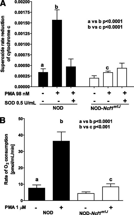 FIG. 1. Congenic introduction Ncf1m1J mutation ablates bone marrow cell superoxide production and oxygen consumption in response to PMA. Bone marrow from NOD (black bars) and NOD-Ncf1m1J (white bars) mice were (A) stimulated with PMA (98 nmol/L) and superoxide production was evaluated by measuring rate reduction of cytochrome C. Purified superoxide dismutase 1 (SOD1; 0.5 units/mL) was added to confirm production of superoxide. B: Oxygen consumption was measured with an oxygen electrode for 30 min. Results are from five independent experiments.
