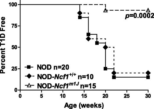 FIG. 2. NOD-Ncf1m1J mice are protected from spontaneous autoimmune diabetes. Age-matched female NOD (black square), NOD-Ncf1+/+ littermate controls (black diamond), and NOD-Ncf1m1J (open triangle) mice were monitored by glucosuria for the onset of spontaneous type 1 diabetes (T1D).
