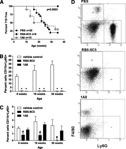 FIG. 5. Macrophages, but not neutrophils, are critical for type 1 diabetes (T1D) induction. A: Age-matched NOD female mice were treated with 500 μg 2 days a week and 750 μg 1 day a week anti-Gr-1 RB6–8C5 (black diamond), 1 mg 3 days a week anti-Gr-1 1A8 (open triangle), or PBS vehicle control (black square) starting at 4 weeks of age. Mice were monitored by glucosuria for the onset of diabetes and considered diabetic after two consecutive readings of blood glucose above 250 mg/dL. Peripheral blood was used to confirm depletion of (B) neutrophils (CD11b+Ly6G+) and (C) macrophages (CD11b+F4/80+) by flow cytometry. D: Blood samples were gated on CD11b+ cells and analyzed for Ly6G and F4/80 expression (representative plot of treated mice at 16 weeks of age). Statistical differences noted above signify *P < 0.0001 or #P < 0.002, respectively.