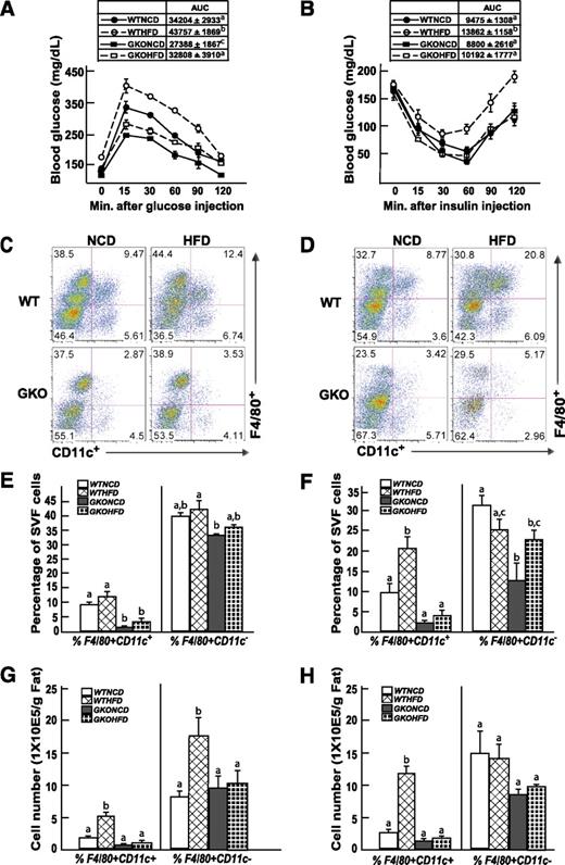 FIG. 1. GM-CSF–null mice are protected against HFD-induced glucose and insulin intolerance and against HFD-induced adipose tissue macrophage infiltration. Wild-type and GM-CSF–null 9-week-old male mice were fed NCD or HFD for 4 weeks, were fasted for 16 h (IPGTT) or 4 h (ITT), and blood was drawn for determination of fasting glucose and insulin levels. The mice were given an intraperitoneal injection of 1 g/kg glucose (A) or 1 unit/kg insulin (B), and blood glucose and insulin levels were determined at 15, 30, 60, 90, and 120 min. WTHFD, wild-type mice fed the HFD; WTNCD, wild-type mice fed the NCD; GKOHFD, GM-CSF–null mice fed the HFD; GKONCD, GM-CSF–null mice fed the NCD. Area under the curve (AUC) for each condition (n = 4 mice per group) is shown in the insert. Identical letters indicate values that are not statistically different from each other (P > 0.05). Wild-type and GM-CSF–null 9-week-old male mice were fed the NCD or HFD for 4 (C, E, G) or 8 (D, F, H) weeks. The stromal vascular fraction from an entire epididymal adipose tissue fat pad was isolated and subjected to flow cytometry analysis after labeling with F4/80 and CD11c antibodies, as described in research design and methods (C, D). The data obtained from three to five independent experiments were calculated for the percentage of F4/80+CD11c+ and F4/80+CD11c− (E, F) and the total number of F4/80+CD11c+ and F4/80+CD11c− cells (G, H). Data were analyzed as described in statistical analysis and are shown as the mean ± standard error of the mean. Identical letters indicate values that are not statistically different from each other (P > 0.05). (A high-quality digital representation of this figure is available in the online issue.)
