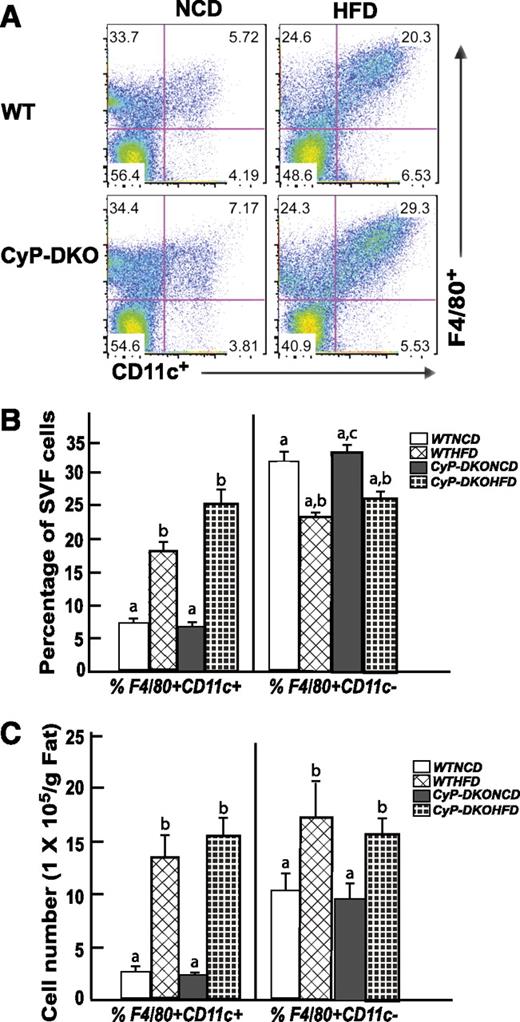 FIG. 7. CyP-D–null (KO) mice display a normal extent of HFD-induced macrophage infiltration into adipose tissue. Wild-type and CyP-D–null 9-week-old male mice were fed the NCD or HFD for 12 weeks. The stromal vascular fraction (SVF) from an entire epididymal adipose tissue fat pad was isolated and subjected to flow cytometry analysis after labeling with F4/80 and CD11c antibodies as described in research design and methods. FACS analysis of SVF isolated from epididymal adipose tissue. B: Percentage of F4/80+CD11c+ and F4/80+CD11c− macrophages in SVF of epididymal adipose tissue. C: Total number of F4/80+CD11c+ and F480+CD11c− cells. Data shown are the mean ± standard error of the mean six mice per group and were analyzed as described in statistical analysis. Identical letters indicate values that are not statistically different from each other (P > 0.05).