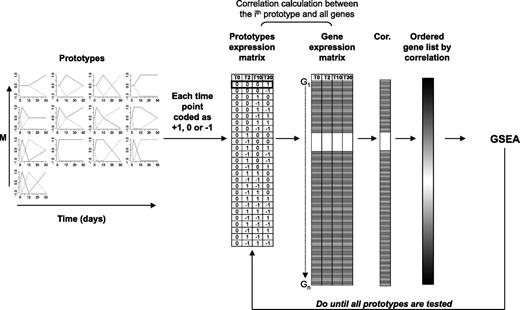 FIG. 1. Schematic of our time-course GSEA method. “Prototypes” are created as theoretical gene expression behaviors across the HFD time course. The prototype expression matrix is produced by coding each time point of a given prototype with a value of +1, 0, or −1. The gene expression matrix is the regulation of each gene at each time point, coded as +1, 0, or −1 according to overexpression, no regulation, or downregulation of HFD vs. NC samples, respectively. The correlation vector is generated by calculating the Pearson correlation between the ith prototype and all genes present in the expression matrix. Genes are then ordered based on their correlation values. GSEA is performed using MSigDB gene sets. The procedure is repeated until all prototypes are tested. At the end of the procedure, a list of significant gene sets associated with each prototype is obtained as output, which could be considered as biological function–associated clusters of genes.