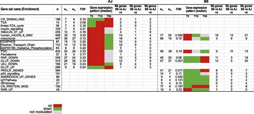 FIG. 2. Gene sets identified by time-course GSEA in HFD-fed AJ and B6 mice. Significantly enriched gene sets (FDR <0.25; Nle 34) from time-course GSEA analysis of HFD-fed AJ and B6 mice. See Supplementary Table 1 for a description of the gene sets. The different columns of the table correspond to the following: N, total number of genes present in the gene set; Nm, number of genes from the gene set present in the gene list; Nle, number of genes that contribute to the maximum enrichment score (leading edge genes) for a given gene set; FDR, false discovery rate; Gene expression pattern, color coding of the median expression of the leading edge genes (green, downregulation; gray, no regulation; red, upregulation); Nb genes B6 vs. AJ >0, number of genes whose log2 expression level ratio between B6 and AJ mice (at basal level) is positive, meaning that the mRNA level is higher in B6 than in AJ mice; Nb genes B6 vs. AJ <0, number of genes whose log2 expression level ratio between B6 and AJ mice (at basal level) is negative, meaning that the mRNA level is higher in AJ than in B6 mice; Nb genes B6 vs. AJ = 0, number of genes whose log2 expression level ratio between B6 and AJ mice (at basal level) is 0, meaning that the mRNA level is the same between AJ and B6 mice.