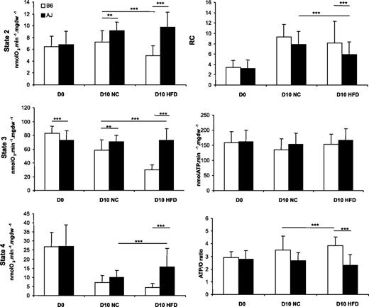 FIG. 6. Mitochondrial respiratory parameters using the substrate PC. B6 (open bars) and AJ (filled bars) mice were compared at baseline (d = 0) or after 10 days of NC (D10 NC) or HFD feeding (D10 HFD). State 2, respiration in the absence of ADP; state 3, ADP (1 nmol/L)-stimulated respiration; state 4, oligomycin (1 mg/mL)-inhibited respiration; RC, respiratory control ratio (state 3/state 4); ATP, ATP synthesis rate in state 3; ATP/O, ATP produced per oxygen consumed; mgdw, milligrams of dry weight. Values are shown as mean ± SD, n = 6. *P < 0.05; **P < 0.01; ***P < 0.001.