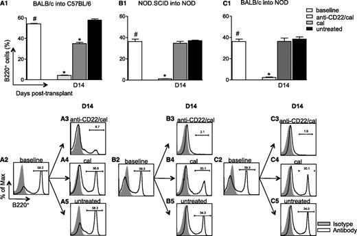 FIG. 1. Anti-CD22/cal–mediated B-cell depletion in three immune settings of islet transplantation (allo, auto, and allo/auto). The percentage of B220+ cells was analyzed in the spleen of C57BL/6 and NOD mice at baseline and at 14 days after islet transplantation (n = 4 mice/condition). 1) In allo, BALB/c islets were transplanted into chemically induced C57BL/6 mice and treated with anti-CD22/cal, cal alone, or were left untreated (A1–5). Robust depletion of B220+ cells was evident 14 days after transplantation in mice treated with anti-CD22/cal compared with naïve untransplanted mice (baseline) (#P < 0.0001) and control antibody (cal)-treated mice (*P < 0.0001) (A1–5). 2) In auto, NOD.SCID islets were transplanted under the kidney capsule of spontaneously hyperglycemic NOD mice (B1–5). Complete B-cell depletion was observed 14 days after transplantation in mice treated with anti-CD22/cal compared with naive untransplanted (#P < 0.0001) and control-treated mice (*P < 0.0001) (B1–5), whereas no depleting effect was found when mice were treated with cal or were untreated (NS). 3) In allo/auto, BALB/c islets were transplanted into spontaneously hyperglycemic NOD mice (C1–5). A complete B-cell depletion occurred 14 days after transplantation in mice treated with anti-CD22/cal compared with untransplanted (#P < 0.0001), cal-treated (*P < 0.0001), and untreated mice (*P < 0.0001) (C1–5), whereas no differences in B-cell peripheral percentage were observed in mice treated with cal or untreated (NS) (C4–5).