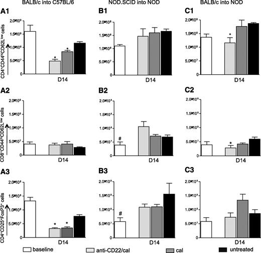FIG. 4. Effect of B-cell depletion on the immune system in the three immune settings of islet transplantation (allo, auto, and allo/auto). Splenocytes were analyzed in the three groups of islet-transplanted mice at day 14 in the BALB/c into C57BL/6 and NOD.SCID into NOD groups and at day 7 in the BALB/c into NOD group (n = 3 mice/experiment). 1) In allo, anti-CD22/cal treatment induced a decrease in the absolute number of CD4+CD44hiCD62Llow cells compared with untreated (*P = 0.0002) and cal-treated (*P = 0.01) mice (A1). Cal-treated mice, which experience a partial B-cell depletion, displayed a significant reduction in CD4+CD44hiCD62Llow cell (Teff) numbers as well (*P = 0.01) (A1). No differences in the absolute numbers of CD8+CD44hiCD62Llow cells (Teffs) were observed in this model (A2). In the same immune setting, a reduction in CD4+CD25+FoxP3+ cell numbers was evident in the anti-CD22/cal–treated (*P < 0.0001) and in cal-treated (*P = 0.0006) groups compared with the untreated group (A3). 2) In auto, no differences were evident with regard to either CD4+CD44hiCD62Llow or CD8+CD44hiCD62Llow cell numbers as well as in the peripheral numbers of CD4+CD25+FoxP3+ cells in the B-cell–depleted group compared with both untreated and cal-treated mice (B1–3). Naïve untransplanted mice displayed reduced numbers of CD8+CD44hiCD62Llow T cells compared with anti-CD22/cal–treated mice (#P = 0.03) (B2), as well as reduced numbers of CD4+CD25+FoxP3+ cells compared with both anti-CD22/cal–treated (#P = 0.04) and cal-treated mice (#P = 0.03) (B3). 3) In allo/auto, anti-CD22/cal–treated mice displayed a significant reduction in CD4+CD44hiCD62Llow (*P = 0.02) and CD8+CD44hiCD62Llow (*P = 0.04) cell numbers (C1–2), with no significant differences in CD4+CD25+FoxP3+ cell numbers (C3).