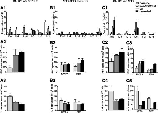 FIG. 5. Th1 to Th2 skewing of the immune response in the three immune settings of islet transplantation (allo, auto, and allo/auto) after B-cell depletion. Serum samples (n = 3 samples/experiment) and splenocytes (n = 3 mice/experiment) were analyzed in the three groups of islet-transplanted mice at day 14 in the BALB/c into C57BL/6 and NOD.SCID into NOD groups and at day 7 in the BALB/c into NOD group. Peripheral cytokine profiles and polarization of the auto- and alloimmune response were examined. 1) In allo, a decrease in the Th1 cytokine IFN-γ (*P < 0.05) and an increase in the Th2-relevant cytokines IL-4 (*P < 0.01) and IL-10 (*P < 0.001) were evident in B-cell–depleted mice compared with cal-treated and untreated mice (A1). These data were confirmed by the ELISpot assay in which donor-derived antigens (irradiated BALB/c splenocytes) were plated with splenocytes harvested from transplant recipients undergoing the different treatments. We found that anti-CD22/cal–treated mice exhibit a reduced number of IFN-γ–secreting cells compared with cal-treated and untreated mice (*P < 0.05) (A2), whereas IL-4–secreting cell numbers were significantly increased (*P < 0.05) (A3). 2) In auto, no change in peripheral cytokine levels was evident in the three groups of mice studied (B1), and similar numbers of IFN-γ– and IL-4–producing cells (B2 and B3, respectively) were observed after ex vivo restimulation with β-cell peptides (BDC2.5 and IGRP). 3) In allo/auto, examination of the cytokine profile (C1) revealed a systemic suppression of the inflammatory response (IL-6, *P < 0.01) with increased levels of the Th2-relevant cytokines IL-4 (*P < 0.01) and IL-10 (*P < 0.05) and a complete suppression in the Th1 immune response (IFN-γ, *P < 0.01; IL-2, *P < 0.01). In this animal model, both the allo- and autoimmune responses were examined (C2–5). Donor-derived antigen (BALB/c splenocytes) and islet peptides (BDC2.5 and IGRP) were plated with splenocytes harvested from the three groups of mice studied at day 7 after transplantation. B-cell–depleted mice displayed reduced numbers of IFN-γ–producing cells (*P < 0.05) and increased numbers of IL-4–producing cells (*P < 0.05) among both donor-specific T cells (stimulated using BALB/c splenocytes) (C2 and 4) and CD4+ (BDC2.5-stimulated, *P < 0.05) and CD8+ (IGRP-stimulated, *P < 0.05) (C3 and 5) autoreactive T cells.
