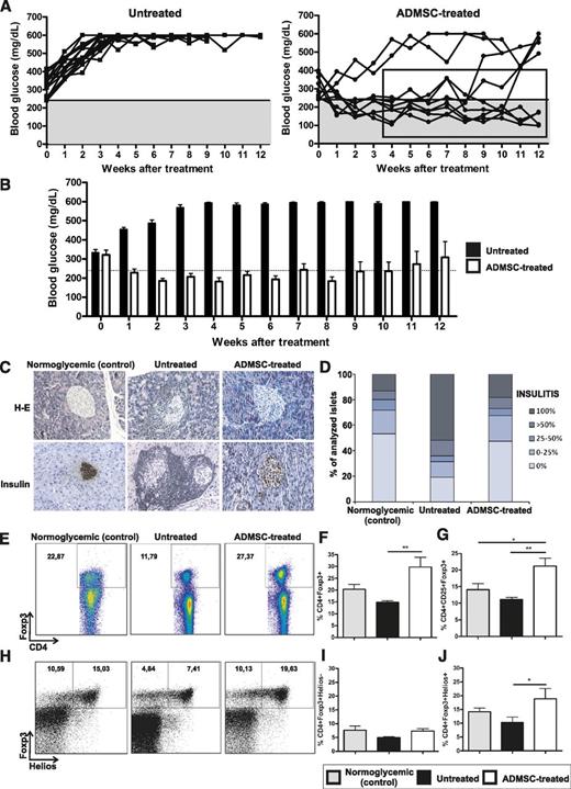 FIG. 8. ADMSC therapy promotes long-term reversion of hyperglycemia in diabetic NOD mice. ADMSCs (1 × 106) were administrated by intraperitoneal injection in female NOD diabetic mice (blood glucose >240 mg/dL by two consecutive measurements) on days 0, 7, and 14. A: Blood glucose (mg/dL) was measured once a week after treatment under nonfasting conditions for 12 weeks. The gray region denotes blood glucose values <240 mg/dL. Average ± SEM of blood glucose levels in the initiation of treatment is shown and did not differ between groups (P = NS). The reversion of hyperglycemia could be maintained for 8 weeks in seven of nine of the ADMSC-treated mice. B: The weekly mean blood glucose levels of responder mice were significantly reduced compared with the untreated group from 2 to 12 weeks. Normoglycemic levels were detected in 57% (four of seven) of responder mice with no insulin administration. C: Histological analysis of the pancreas by H-E and immunohistochemistry for insulin expression, respectively. Original magnification ×200. D: The quantification of mononuclear cellular infiltrate (or insulitis score) in the pancreatic islets was determined by counting at least 80 islets/experimental group from at least five mice/group using the following classification: 0 (no cellular infiltration), 0–25, 25–50, >50, and 100% of cell infiltration in each islet. The frequency of Tregs was analyzed by flow cytometry in cells obtained from the PLNs of responder mice. The cells were stained for surface markers CD4 and CD25 and afterward for transcription factor Foxp3. E: Dot plots represent the frequency of CD4+Foxp3+ cells at the CD4+ cell gate. F and G: Frequency of CD4+Foxp3+ and CD4+CD25+Foxp3+ T cells in the CD4+ cell gate, respectively, for each group. H: Dot plots represent the frequency of CD4+Foxp3+Helios+ cells at the CD4+ cell gate. I and J: Frequency of CD4+Foxp3+Helios− and CD4+Foxp3+Helios+ in the CD4+ cell gate, respectively. Data are average ± SEM. *P < 0.05; **P < 0.01. (A high-quality color representation of this figure is available in the online issue.)