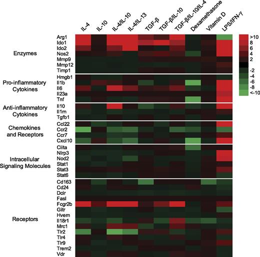 FIG. 2. IL-4 dominantly regulates gene expression in 4 h–stimulated macrophages. Color patterns visualize fold gene expression relative to untreated control. Red color indicates an increased fold expression and green color indicates a decreased fold expression. Black color designates no fold difference. Representative data from three individual animals.