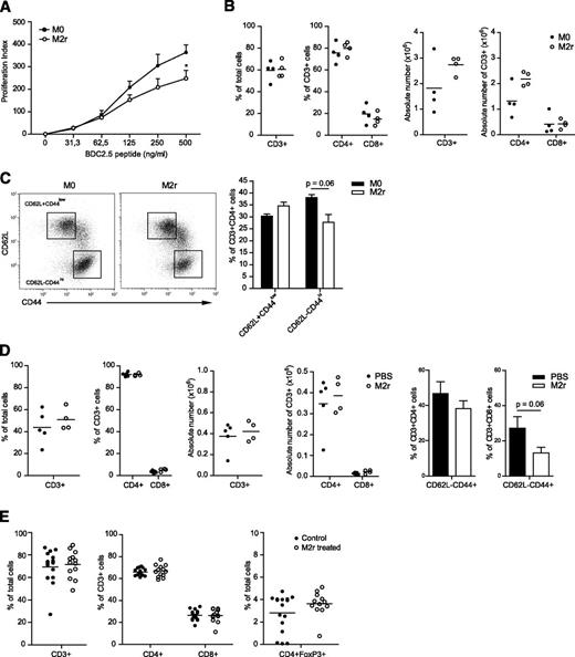 FIG. 6. M2r macrophages suppress ex vivo T-cell activity. M2r or M0 macrophages (2.5 × 106) were intraperitoneally injected into 12–16-week-old NOD-BDC2.5 mice. A: PLNs were dissected after 1 week, and lymphocytes were restimulated with BDC2.5 mimotope for 72 h to induce proliferation. Readout was CPM . B: PLNs were dissected after 1 week, and lymphocyte subsets were analyzed by flow cytometry for cell numbers (percent and absolute values). C: Activation status of CD4+ subset assessed by CD44 and CD62L expression. D: Pancreata were dissected after 1 week, and lymphocyte subsets were analyzed by flow cytometry for cell numbers (percent and absolute values). E: M2r macrophages (2–3 × 106) or control (PBS) were intraperitoneally injected into 12–13-week-old NOD-FoxP3-GFP mice, PLNs were dissected after 1 week, and T-cell subset numbers were analyzed. The data from A–D represent two independent experiments (n = 4). The data in E represent pooled data from four independent experiments. Error bars are presented in SEM. *P < 0.05.