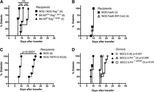 FIG. 1. CD4+ T cells do not use FasL- and Prf-mediated cytotoxicity to induce diabetes. Total of 107 activated BDC2.5 CD4+ T cells were transferred intravenously into B6.H2g7 Rag−/− lpr/lpr (A) or NOD.FasKi-RIP-Cre3 (B) mice and indicated control mice. C: Total of 107 activated BDC2.5 CD4+ T cells was transferred intravenously into NOD or NOD.TNFR1−/−TNFR2−/− (NOD.TNFR1/2 KO) mice. In A–C, numbers in parentheses indicate mice per group. D: Total of 107 activated BDC2.5 CD4+ T cells from wild-type, BDC2.5.Prf−/−, or BDC2.5.Prf−/− gld/gld mice were transferred into equal numbers of NOD (filled symbols) or NOD.TNFR1/2 KO mice (open symbols). Figures represent combined data from one to three independent experiments. P values were found using Kaplan-Meier statistics.