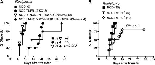 FIG. 2. Diabetes induced by CD4+ T cells requires expression of TNFRs by bone marrow-derived cells. A: Total of 107 bone marrow cells from NOD or NOD.TNFR1/2 KO mice were injected intravenously into lethally irradiated NOD.TNFR1/2 KO recipients to establish bone marrow chimeras. Eight weeks later, chimeric mice and similarly irradiated control mice were injected intravenously with 107 activated BDC2.5 CD4+ T cells to induce diabetes. B: Total of 107 activated BDC2.5 CD4+ T cells was transferred intravenously into irradiated NOD.TNFR1−/−, NOD.TNFR2−/−, or control recipient mice. Numbers in parentheses indicate mice per group. Figure represents combined data from at least two independent experiments. P values were found using Kaplan-Meier statistics.