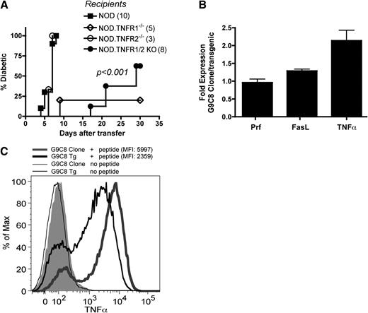 FIG. 6. TNF-α signaling facilitates type 1 diabetes induction by the G9C8 clone. A: Irradiated NOD or NOD.TNFR1/2 KO mice were injected intravenously with 107 G9C8 clone cells, and diabetes incidence and the day of onset were recorded. Numbers in parentheses indicate mice per group. Combined data from several experiments. P values for curves were found using Kaplan-Meier statistics. B: G9C8 clone cells and NOD.G9C8 TCR-transgenic spleen cells were similarly activated with InsB15−23 peptide and subjected to a microarray RNA expression analysis. Data are expressed as fold overexpression in G9C8 clone compared with G9C8-transgenic CD8+ T cells. C: Similarly activated rested G9C8 clone (shadowed histogram and thick gray line) and B6.KdG9C8-transgenic cells (thin and thick black lines) were stimulated in vitro for 5 h with or without 5 μg/mL InsB15−23 peptide in the presence of brefeldin A and stained for intracellular TNF-α. Histogram overlays show TNF-α levels in gated CD8+ T cells. Numbers in parenthesis represent mean fluorescent intensity (MFI).