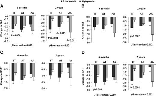 FIG. 2. Interaction between the FTO rs1558902 genotype and dietary protein intervention on changes in TAT (A), VAT (B), DSAT (C), and SAT (D) at 6 months and 2 years. P values are adjusted for age, sex, ethnicity, carbohydrate, baseline values for respective outcomes, and baseline BMI. Data included 17, 18, 18, and 17 (TT); 30, 35, 35, and 30 (TA); and 10, 13, 13, and 10 (AA) participants in the low-protein group and 18, 22, 22, and 18 (TT); 26, 35, 35, and 26 (TA); and 12, 14, 14, and 12 (AA) in the high-protein group for TAT, VAT, DSAT, and SAT at 6 months (total n = 137); and 12, 15, 15, and 12 (TT); 18, 25, 25, and 18 (TA); and 8, 9, 9, and 8 (AA) participants in the low-protein group and 15, 17, 17, and 15 (TT); 23, 30, 30, and 23 (TA); and 8, 9, 9, and 8 (AA) in the high-protein group for TAT, VAT, DSAT, and SAT at 2 years (total n = 105). 