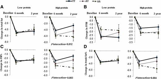 FIG. 3. Changes in total fat (A), FFM (B), FM% (C), and percentage of trunk fat (D) in the low-protein and the high-protein diet groups according to the FTO rs1558902 genotype from baseline to 6 months and 2 years. P values are adjusted for age, sex, ethnicity, carbohydrate, baseline values for respective outcomes, and baseline BMI. Data included 198, 149, and 99 in the low-protein group and 193, 161, and 125 in the high-protein group for body composition at baseline, 6 months and 2 years, respectively. (A high-quality color representation of this figure is available in the online issue.)
