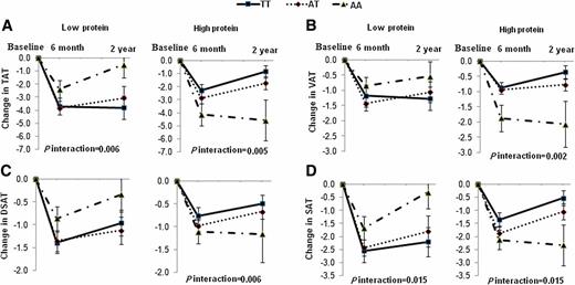 FIG. 4. Changes in TAT (A), VAT (B), DSAT (C), and SAT (D) in the low-protein and high-protein diet groups according to the FTO rs1558902 genotype from baseline to 6 months and 2 years. P values are adjusted for age, sex, ethnicity, carbohydrate, baseline values for respective outcomes, and baseline BMI. Data included values at baseline and at 6 months and 2 years for 80, 57, and 38 participants, respectively, for TAT and SAT and 89, 66, and 49 participants, respectively, for VAT and DSAT in the low-protein group; and 71, 56, and 46 participants, respectively, for TAT and SAT and 86, 71, and 56 participants, respectively, for VAT and DSAT in the high-protein group. (A high-quality color representation of this figure is available in the online issue.)