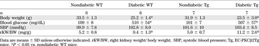 Physiological characteristics of nondiabetic and diabetic WT and EC-PKCβ2Tg mice