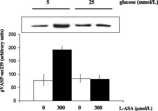 FIG. 7. Effect of L-ASA on platelet VASP phosphorylation at serine 239 in the presence of different glucose concentrations. At 5 mmol/L glucose (n = 6): L-ASA vs. baseline, P < 0.001 (Student paired t test). At 25 mmol/L glucose (n = 6): L-ASA vs. baseline, P = NS (Student paired t test).