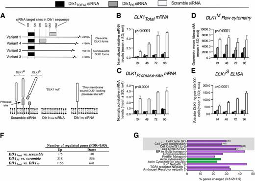FIG. 1. Cell cycle gene pathways are upregulated by knockdown of noncleavable Dlk1, but not cleavable Dlk1. A (top panel): The siRNA design. Three distinct siRNAs were designed to knock down all DLK1 isoforms independently (Dlk1Total, black boxes), only cleavable DLK1 (Dlk1PS, gray boxes), or none (scramble control), resulting in differential levels of DLK1 isoforms in 3T3-L1 preadipocytes, as indicated in the bottom panel of A, where the ideal scenario with 100% DLK1 knockdown is depicted. As such, DLK1M represents all membrane-bound DLK1, including those Dlk1 variants that contain the protease site but that still remain on the membrane and therefore are detected by flow cytometry. By contrast, DLK1S exclusively designates Dlk1 variants containing the protease site but that have been cleaved off the membrane and thus can be measured in the medium by ELISA. B–E: 3T3-L1 preadipocytes were transfected with either Dlk1Total, Dlk1PS, or scramble siRNA, and knockdown was verified by qRT-PCR (B, C), flow cytometry (D), and ELISA (E) at different time points after transfection. Note that DLK1S remains at the membrane until cleavage and, logically, Dlk1PS siRNA therefore also reduces DLK1M by 40–50% (D). Statistical significance was tested using a one-way ANOVA followed by a Bonferroni multiple comparisons test within each time point against scramble control. All tests resulted in P < 0.0001. F and G: 3T3-L1 preadipocytes transfected with Dlk1Total, Dlk1PS, or scramble siRNA were examined by global gene expression arrays (n = 4). Data were log2 transformed and analyzed by the Student t test, and the number of significantly regulated genes was examined by correcting for multiple testing (false discovery rate). Significantly (z > 0; P < 0.05, Westfall-Young adjustment for multiple testing) upregulated (magenta) and downregulated (green) gene pathways were determined using GenMAPP software. Numbers of genes regulated in cell cycle related pathways are listed in brackets. FDR, false discovery rate; TGFβ, transforming growth factor β; ER, endoplasmic reticulum.