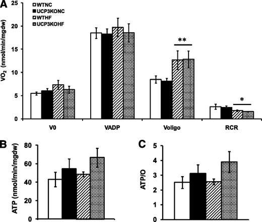 FIG. 2. UCP3 deletion in the heart increases mitochondrial ATP/O ratios upon HF feeding. A: Mitochondrial respiration. B: ATP synthesis rate. C: ATP/O ratios in saponin-permeabilized cardiac fibers using palmitoyl-carnitine as substrate. Mice were fed NC or HF diet for 10 weeks, and hearts were not preperfused. n = 5 per genotype for NC and n = 5–6 per genotype for HF. Data are means ± SEM. Two-way ANOVA was performed to analyze differences between diet and genotype, followed by Bonferroni post hoc test when significant interaction occurred. *P < 0.05; **P < 0.005 for diet (NC vs. HF). mgdw, milligrams dry weight.