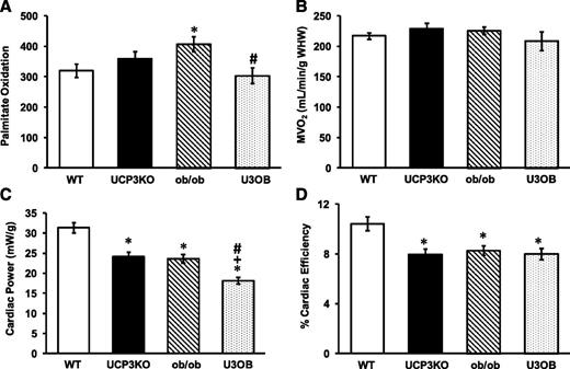FIG. 4. UCP3 deletion in ob/ob mice reduces myocardial palmitate oxidation, cardiac power, and CE. A: Palmitate oxidation. B: MVO2. C: Cardiac power. D: Percent CE in WT, UCP3KO, ob/ob, and U3OB mice at 20 weeks of age (n = 7 per genotype). Data are means ± SEM. *P < 0.05 WT; +P < 0.05 UCP3KO; #P < 0.05 vs. ob/ob. WHW, wet heart weight.