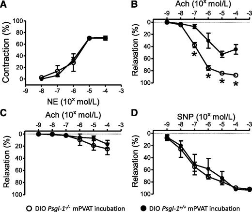 FIG. 5. Vasoconstriction and vasorelaxation responses of mesenteric arteries (MA) from standard chow–fed Psgl-1+/+ mice after incubation in mPVAT from DIO Psgl-1+/+ mice or DIO Psgl-1−/− mice. A: Concentration response to NE. B: Concentration response to Ach. C: Concentration response to Ach after preincubation in l-NAME. D: Concentration response to SNP. *P < 0.01 compared with MA incubated in mPVAT from DIO Psgl-1+/+ mice.