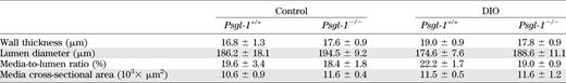Morphologic properties of mesenteric arteries