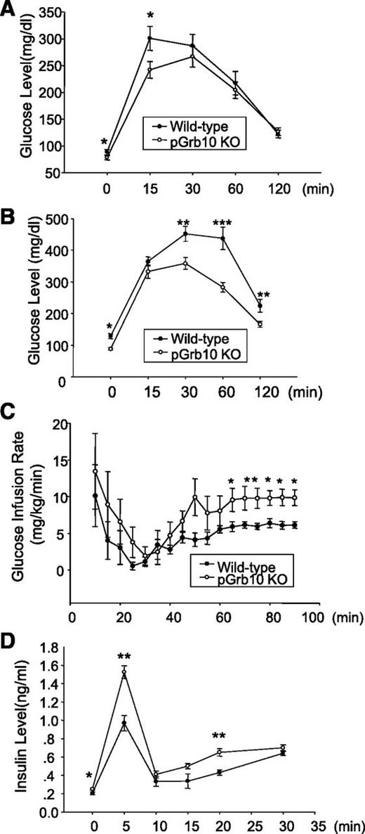 FIG. 3. Pancreatic knockout of Grb10 increases glucose tolerance and insulin secretion. A: GTT was performed in 5-month-old male pGrb10KO mice (n = 9) and age-matched WT littermates (n = 8) fed with normal diet. Blood glucose was withdrawn from the tail vein at 0, 15, 30, 60, and 120 min after intraperitoneal injection of glucose (2 g/kg body weight) and measured using a glucometer. B: GTT was performed on overnight-fasted male pGrb10KO mice and WT littermates (WT: n = 11; pGrb10KO: n = 9) fed with 60% HFD for 16 weeks. Blood glucose after intraperitoneal injection of glucose (2 g/kg body weight) was withdrawn from the tail vein at 0, 15, 30, 60, and 120 min. C: The glucose infusion rates in 3-month-old normal chow diet male pGrb10KO and WT control mice were determined by hyperglycemic clamp experiments (n = 4/group). D: Insulin levels of male pGrb10KO and WT littermates during hyperglycemic clamp experiments (n = 4/group). The data represent mean ± SEM. *P < 0.05; **P < 0.01; ***P < 0.001 (one-way repeated-measure ANOVA).