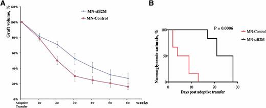 FIG. 4. A: Semiquantitative assessment of relative changes in graft volumes revealed the protective effect of MN-siB2M probe (n = 6; P < 0.05 starting 2 weeks after adoptive transfer compared with control group). B: Kaplan-Meier curve shows animals transplanted with control (red) and MN-siB2M-treated (black) islets. Development of diabetes was defined as the occurrence of hyperglycemia (blood glucose level >250 mg/dL on two consecutive measurements, n = 6; P = 0.0006).