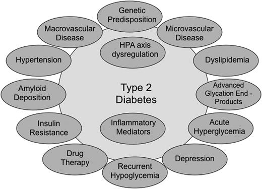 FIG. 2. Potential risk factors for cognitive impairment in type 2 diabetes. HPA, hypothalamic-pituitary-adrenal.
