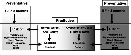 FIG. 1. Breastfeeding (BF) and women's health. This figure illustrates two potentially divergent models. In the preventative model (left panel), some factor(s) associated with breastfeeding ≥3 months lead to systemic effects resulting in reduction of long-term risks for obesity, cardiovascular disease, hypertension, and diabetes, whereas breastfeeding for <3 months does not (right panel). An alternative model is the predictive model (horizontal panel), in which the mammary development and the hormonal, molecular, and metabolic events that permit initiation and/or sustenance of lactation are compromised by pre-existing conditions such as adiposity, inflammation, and insulin resistance. These pre-existing factors may place these women at higher risk for cardiovascular disease, hypercholesterolemia, hypertension, and diabetes, as well as lactation failure.