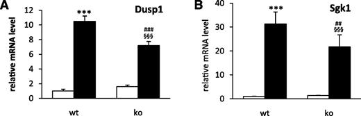 FIG. 2. Attenuation of dexamethasone-induced hepatic mRNA regulation in HDAC6KO (ko) mice (A) and real-time quantitative PCR analysis of Dusp1 and Sgk1 showing attenuated dexamethasone-induced gene regulation in HDAC6KO mice (B). Data represent means ± SEM (n = 7–8). ***P < 0.001 vs. wt plus vehicle, ###P < 0.001 vs. HDAC6KO plus vehicle, §§§P < 0.001 vs. wt plus vehicle. ■, dexamethasone; □, vehicle.