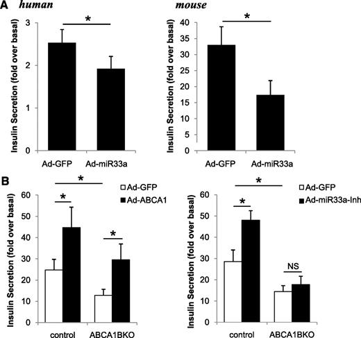 FIG. 2. miR-33a–regulated GSIS is mediated by ABCA1. GSIS (20 mmol/L) in human (n = 4) and wild-type mouse islets (n = 4) (A) and control ABCA1 floxed (n = 5–6) and ABCA1BKO (n = 5) islets (B) infected with GFP, miR-33a, ABCA1, or miR-33a-Inh adenovirus (Ad). Quantified values are normalized to DNA. *P < 0.05, NS: not significant (P > 0.05).