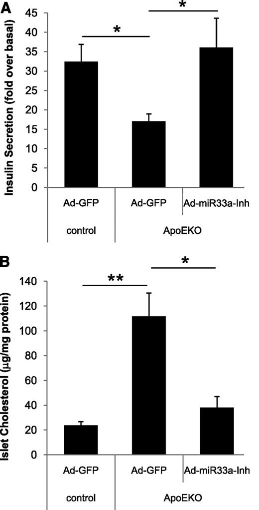 FIG. 4. miR-33a inhibition improves insulin secretion and cholesterol levels in apoE knockout (apoEKO) islets. GSIS (20 mmol/L; n = 3) (A) and total cholesterol (n = 3) (B) in islets isolated from control wild-type or apoEKO mice infected with GFP or miR-33a-Inh adenovirus (Ad). Quantified values are normalized to protein (total cholesterol) or DNA (insulin secretion). *P < 0.05, **P < 0.01.