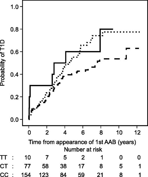 FIG. 1. Kaplan-Meier survival analysis shows the effects of the PTPN22 1858TT (solid line), 1858CT (dotted line), and 1858CC (dashed line) genotypes on the progression to clinical T1D after the appearance of the first biochemically defined autoantibody (AAB).