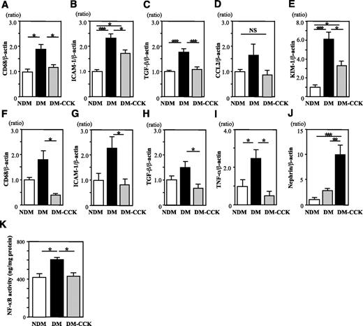 FIG. 5. CCK-8S inhibits expression of proinflammatory genes and NF-κB p65-dependent DNA-binding activity in the kidney of diabetic rats. A–D: Expression of proinflammatory genes in the renal cortex. CCK-8S treatment significantly decreased the mRNA levels of CD68 (A), ICAM-1 (B), and TGF-β (C) in the renal cortex as compared with those in untreated diabetic rats (n = 6/group). E: Expression of KIM-1 gene in the kidney was significantly inhibited by CCK-8S treatment. F–I: Expression of proinflammatory and nephrin genes in the isolated glomeruli (n = 4/group). CCK-8S treatment was significantly decreased the mRNA level of CD68 (F), ICAM-1 (G), TGF-β (H), and TNF-α (I) in isolated glomeruli as compared with untreated diabetic rats. In contrast, CCK-8S treatment was significantly increased the mRNA level of nephrin (J) in isolated glomeruli as compared with untreated diabetic rats. Values (means ± SEM) are presented as the ratio of NDM. *P < 0.05; **P < 0.01; ***P < 0.001; NS, P > 0.05. K: CCK-8S treatment ameliorates diabetes-induced NF-κB p65-dependent DNA-binding activity in the nuclear extracts of the rat kidney cortex (n = 6/group). *P < 0.05. Results (means ± SEM) are representative of two to three independent experiments.