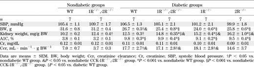 Metabolic characteristics of WT mice and CCK receptor knockout mice (3 months after induction of diabetes)